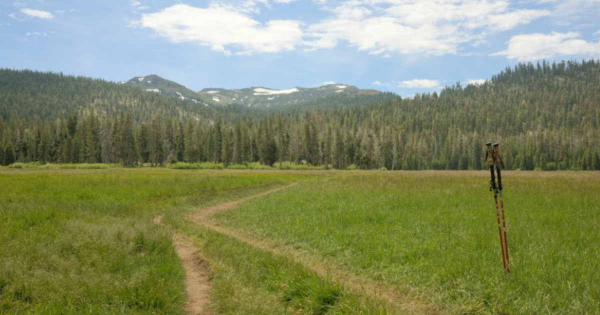 Tahoe Meadows