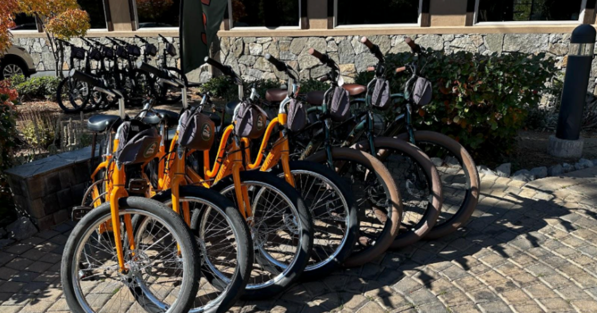 line of bikes for rent at Vista Trail Bikes