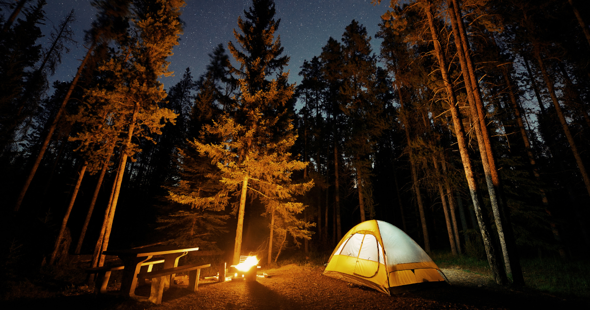 campfire next to a tent in the woods